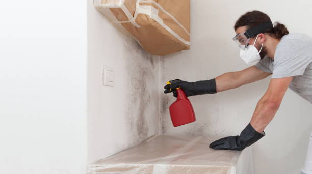 Professional Mold Removal technician working in Woodville, TX