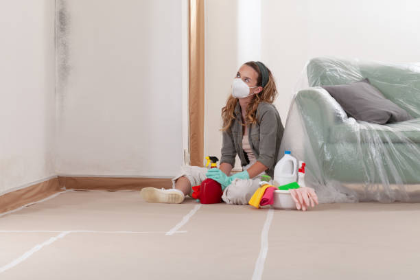 Reliable Mold Removal contractor in Woodville, TX by WQB Mold Removal